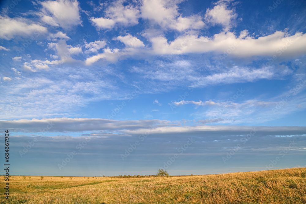 A golden yellow grassy plain under the blue sky with gray and white fluffy clouds in a sunny day as a background