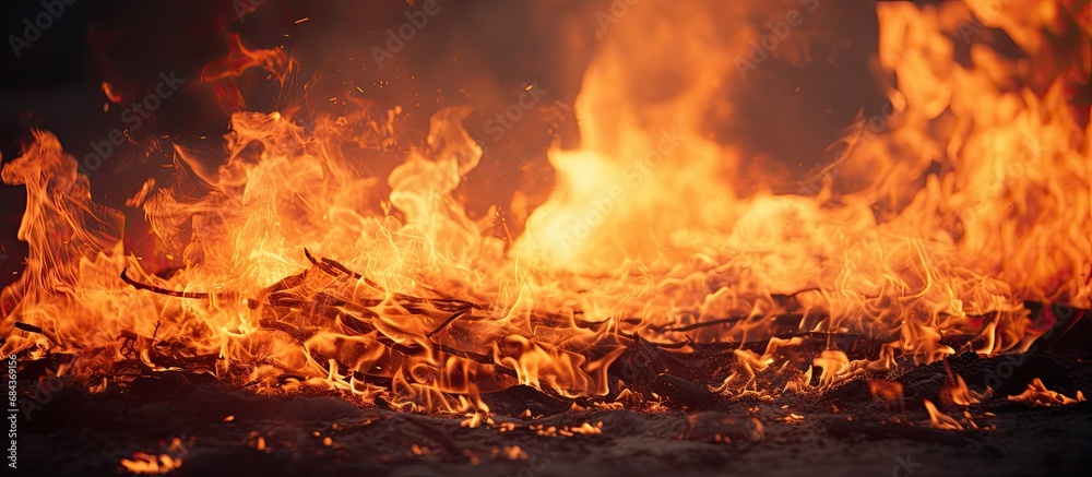 Daytime close-up of a blazing forest fire.