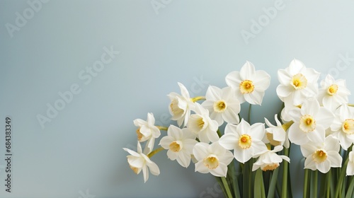 A sunlit cluster of white daffodils with a clean and simple background, ideal for text placement. © Nasreen