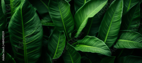 Abstract Green Leaf Texture - Lush Nature Background