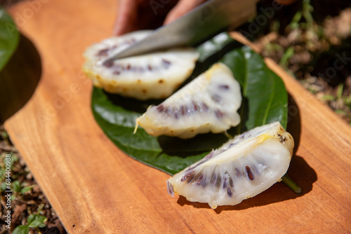 Fresh sliced noni fruit on a cutting board. The fruit has a pungent aroma like stinky cheese.  photo