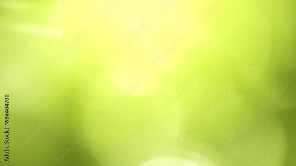 Loop beautiful blurry green nature bokeh abstract background. Sunlight shining through the leaves of trees, Natural blurred background. Bright morning sunshine through green bokeh of fresh foliage.