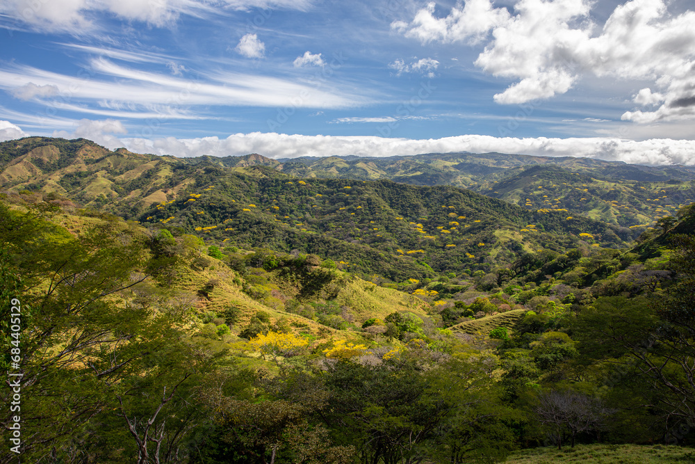 Lush Green Mountain Valley Landscape