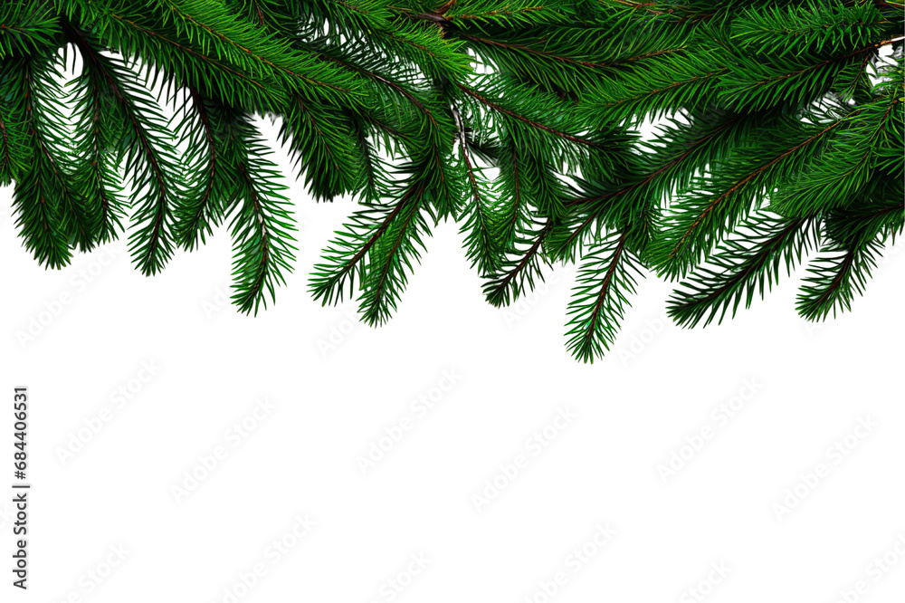 Obraz premium christmas tree branches