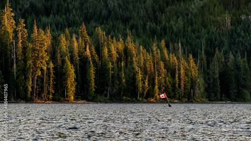 Kudo's to whoever put this flag up at Muchalat Lake on Vancouver Island, British Columbia, Canada photo