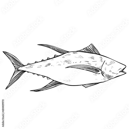 fish hand drawn illustration