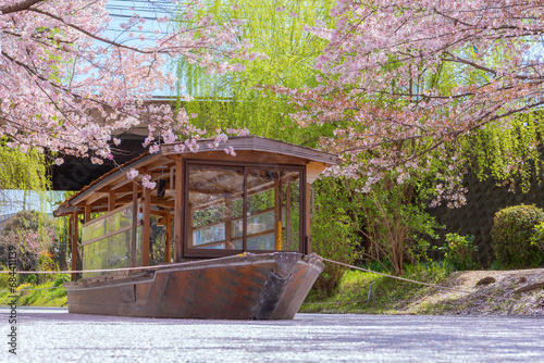 Fushimi Jikkokubune Boat in Kyoto with scenic full bloom cherry blossom in spring  © coward_lion