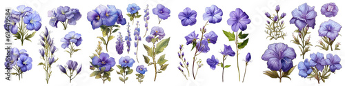 Cape Leadwort Flower Set Concept Props For Icon Designing Hyperrealistic Highly Detailed Isolated On Transparent Background Png File