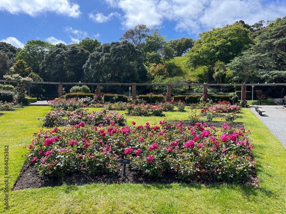 Wellington Botanic Gardens in New Zealand