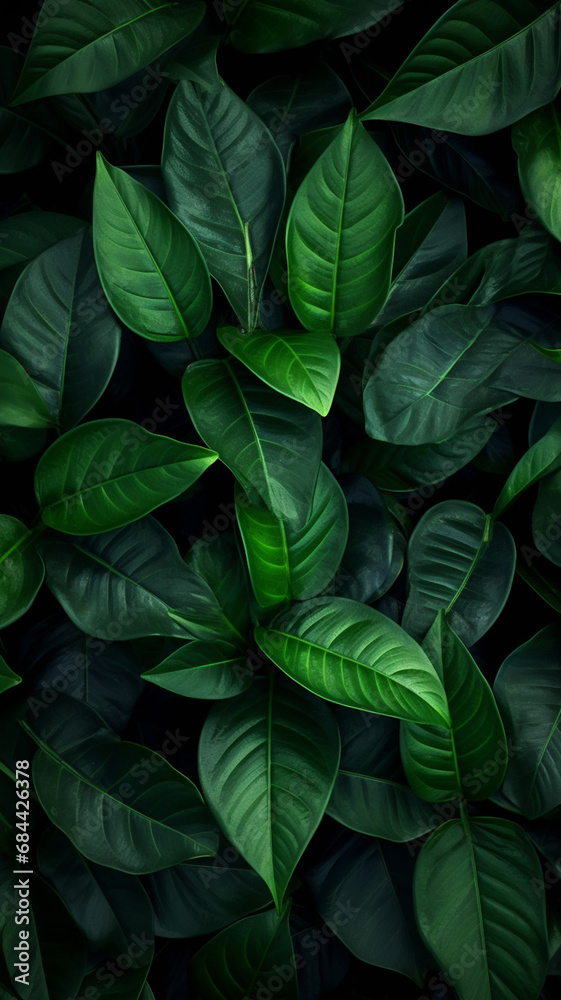 Dark green foliage nature background wallpaper