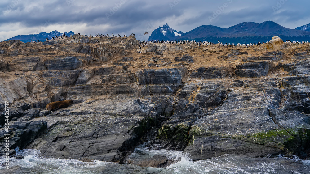 Many cormorants settled on a rocky island in the Beagle Channel. The sea lion is resting on the cliff slope. Waves are foaming on the rocks. A mountain range against a cloudy sky. Isla de los lobos. 