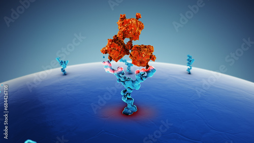 Human cell receptor antibodies medical concept photo