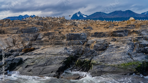 Many cormorants settled on a rocky island in the Beagle Channel. The sea lion is resting on the cliff slope. Waves are foaming on the rocks. A mountain range against a cloudy sky. Isla de los lobos.  © Вера 