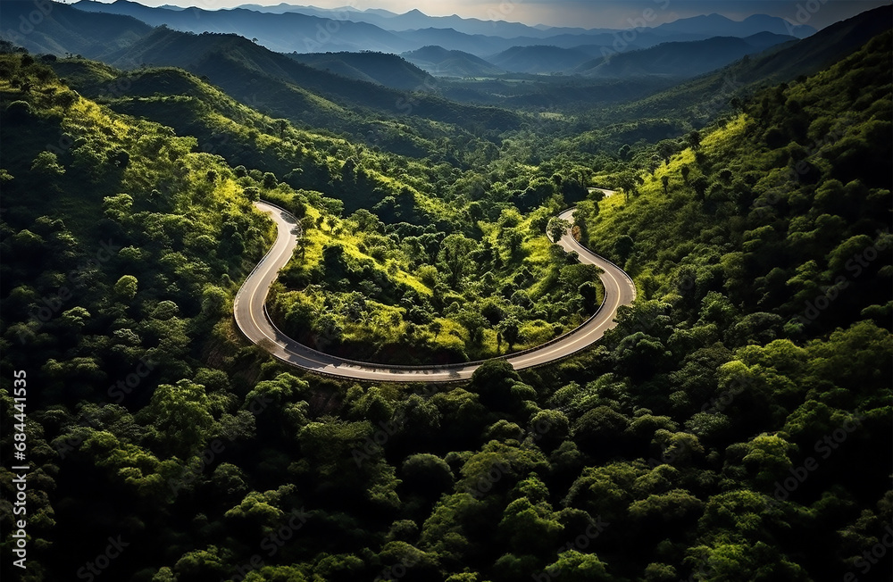 a road winding through a lush green forest a road winding through a lush green forest