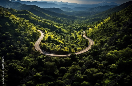 a road winding through a lush green forest