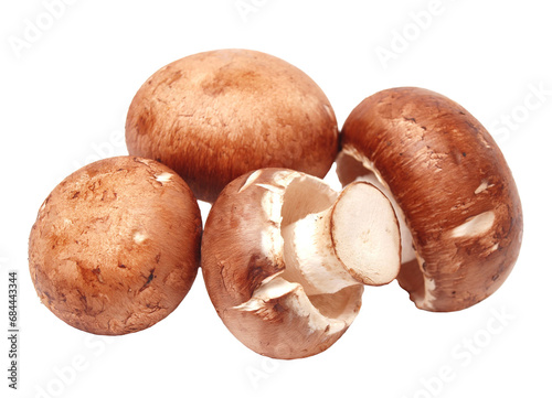 Mushrooms champignon isolated on white background