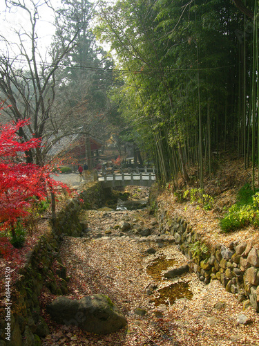 Autumn forest in republic of  korea © binimin