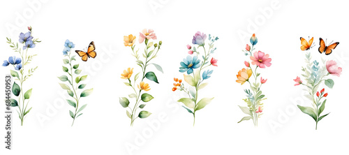 watercolor of butterfly flower and leaves isolated on transparent background
