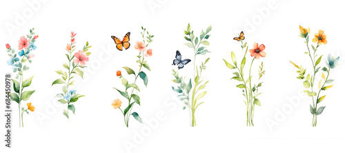 watercolor of butterfly flower and leaves isolated on transparent background