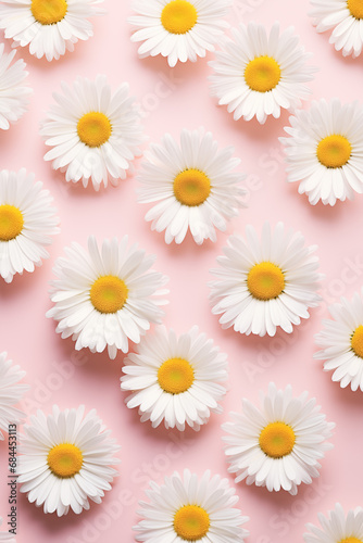 White chamomile daisy flowers on a pale pink background  Minimal floral background  Lifestyle  spring  summer concept. Generative AI