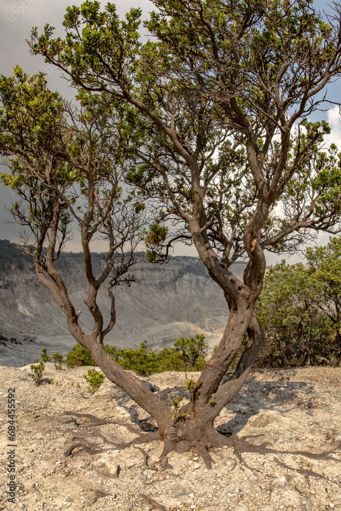 white crater, indonesia volcano, mountains