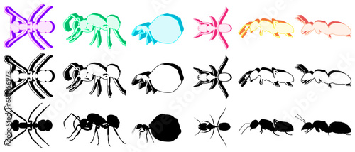 Set collections trendy Ants icon logo insect animal design vector illustration