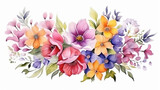 Flower watercolor illustration