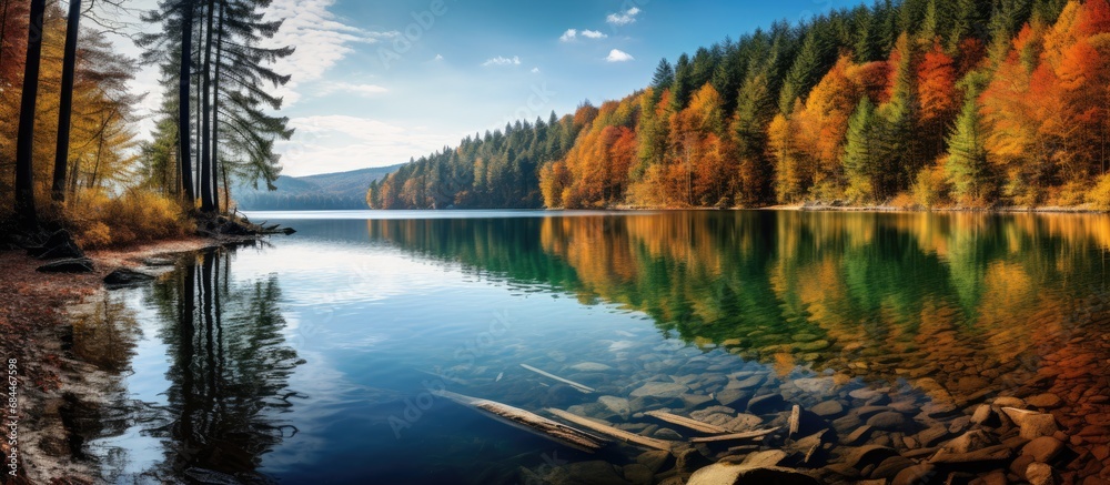 In Europe, nestled amidst a beautiful landscape, a lush forest displays a mesmerizing symphony of autumn colors, with green grass, majestic trees, and vibrant plants reflecting on the tranquil lake s