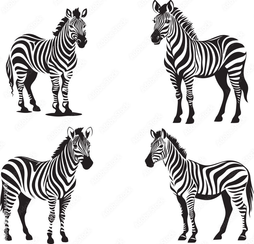 Graphic set of zebra isolated on white background, - obrazy, fototapety, plakaty 