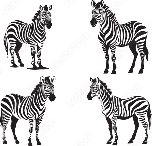 Graphic set of zebra isolated on white background 
