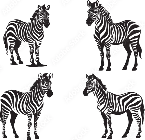 Obraz Graphic set of zebra isolated on white background,