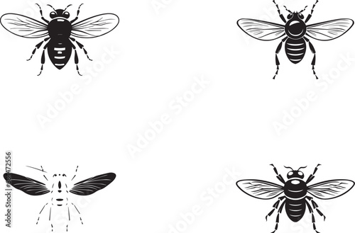 The different between fly and black soldier fly icon with white background 