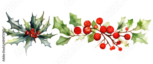 watercolor flower illustration christmas decoration clipart