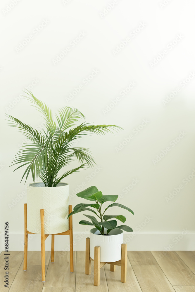 Two plants in plant stands against white vertical wall Two plants in plant stands against white vertical wall