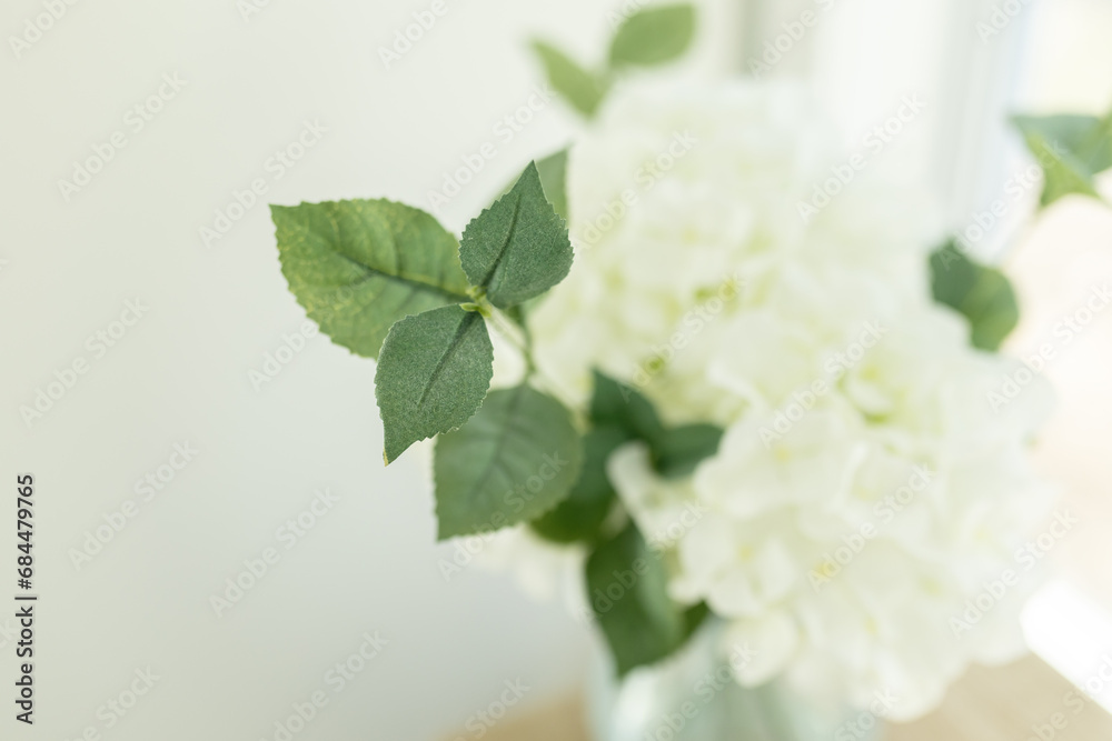 Close up overhead image of green leaves and hydrangea plant Close up overhead image of green leaves and hydrangea plant