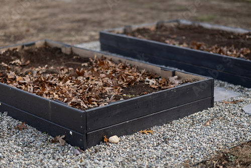 End of Harvest Raised Garden Bed with Dead Leaves in them photo