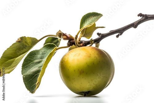 Green apple with leaves isolated on a white background.