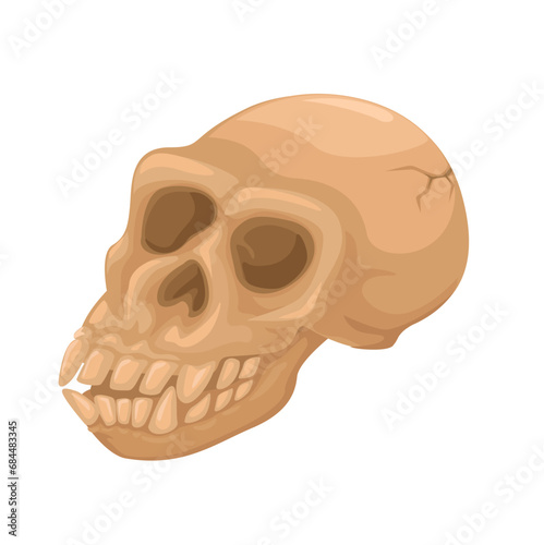 Human Ancient Or Monkey Skull Bone Symbol illustration Vector