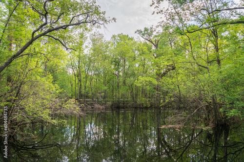 Moores Creek National Battlefield in North Carolina