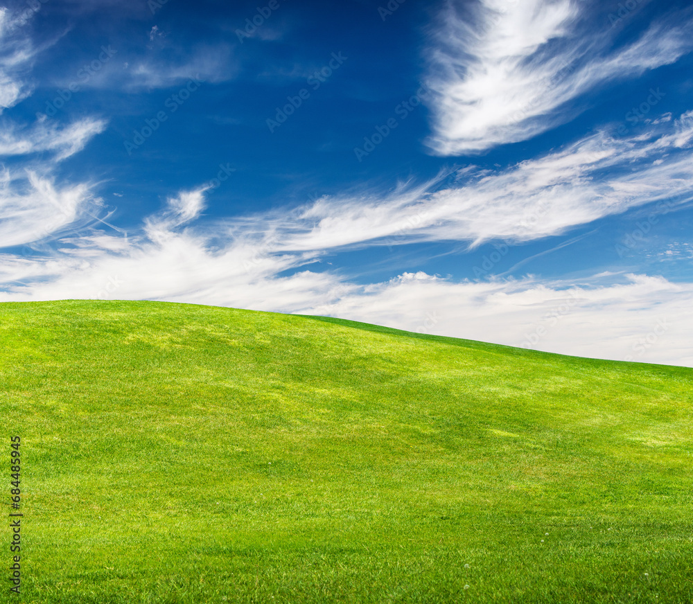 Summer landscape with meadow and scenic sky