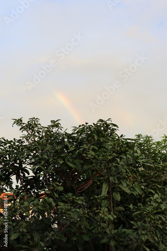 Rainbow over roof house