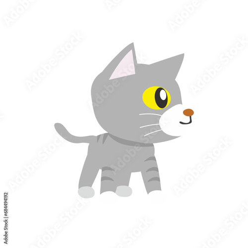 cute set of gray cats with yellow eyes funny © Cute