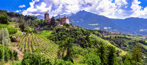 Italian medieval castles - majestic Tirolo Castle in Merano. surrounded by Alps mountains and vineyards. Bolzano province, Italy photo