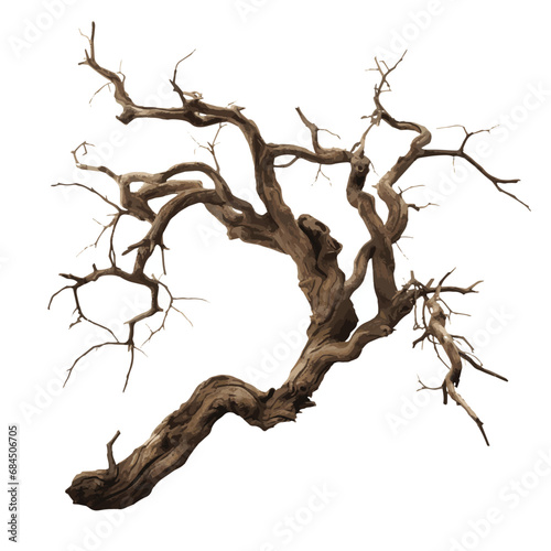 Vector illustration of dead tree on white background for Halloween decoration.