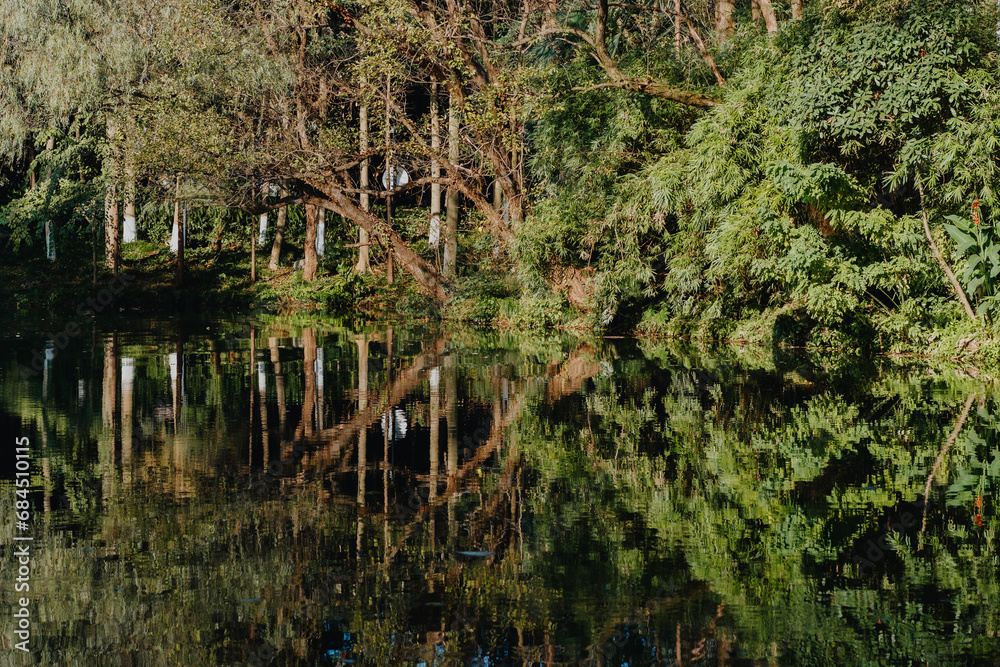 pond in the woods pond in the woods