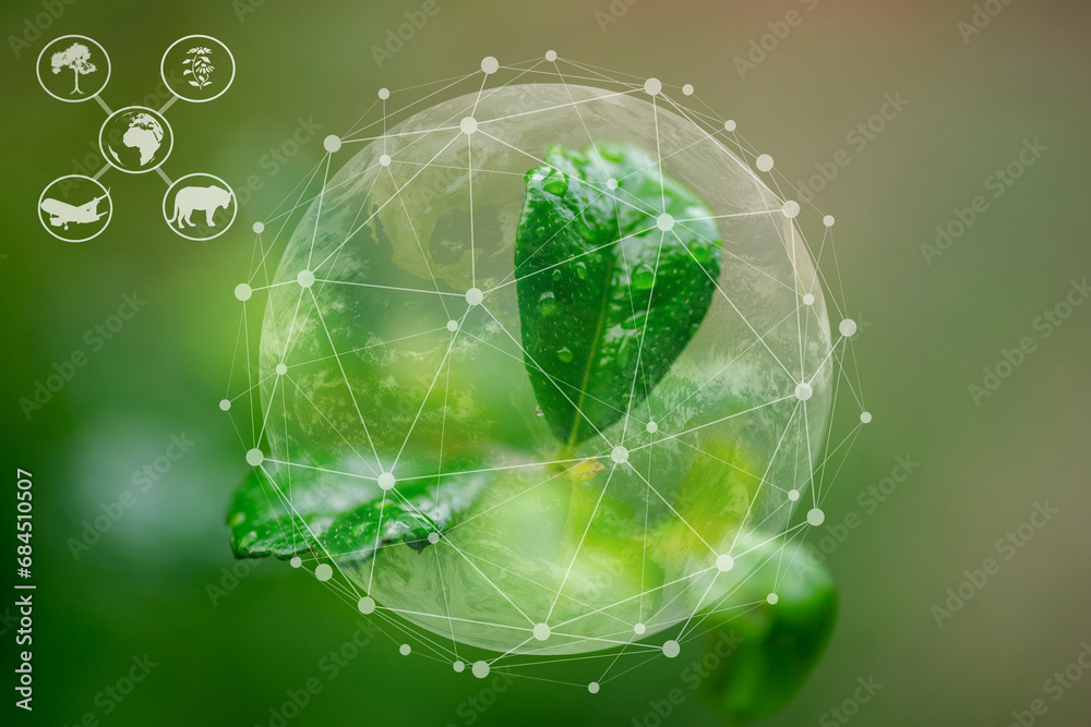 Ecosystem and preserve nature and sustainable Ecosystem and preserve nature and sustainable