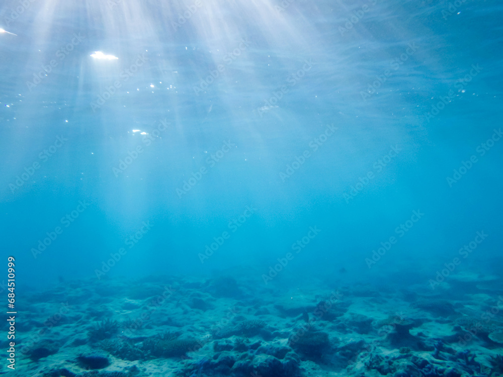 沖縄の海