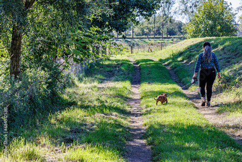 Adult female hiker walking with her brown dachshund with back to camera, hiking trail in Maasvallei nature reserve, green trees in blurred background, sunny autumn day in Meers, Elsloo, Netherlands photo