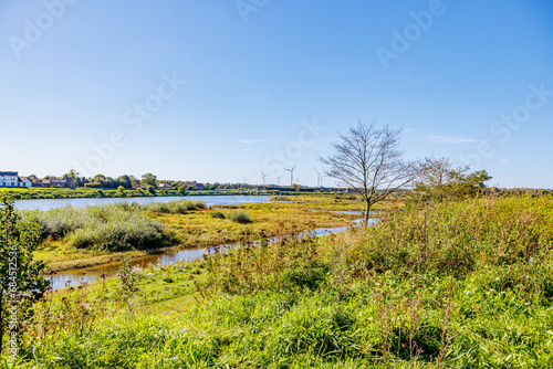 Maas river with streams in the floodplain  Belgian village and windmills in countryside against blue sky in background  Maasvallei nature reserve  sunny autumn day in Meers  Elsloo  Netherlands