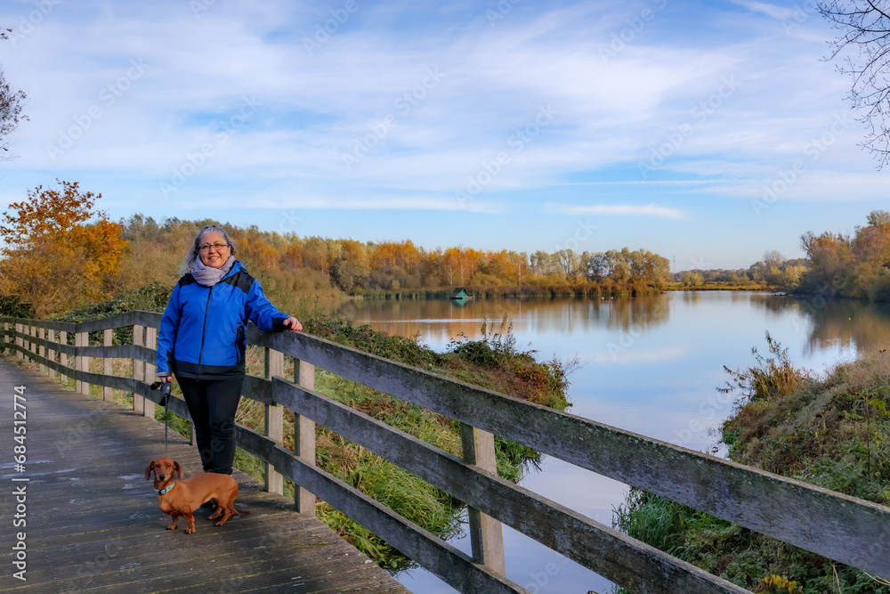 Senior hiker standing with his dog on wooden bridge, lake surrounded by autumn trees against blue sky in background, Belgian nature reserve De Wissen Maasvallei, sunny day in Dilsen-Stokkem, Belgium